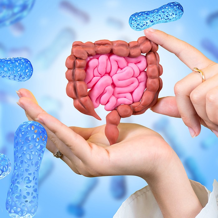 Relación articulaciones y equilibrio intestinal