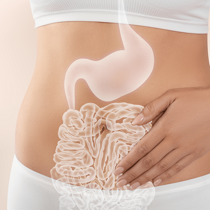 La microbiota intestinal en desbalance puede aumentar la inflamación y contribuir a problemas articulares como la osteoartritis.